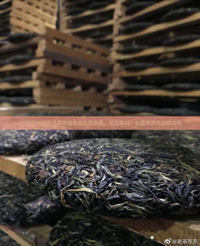 普洱茶冲泡有杂质