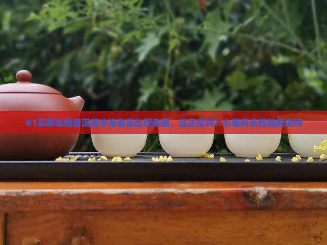 普洱茶冲泡有杂质