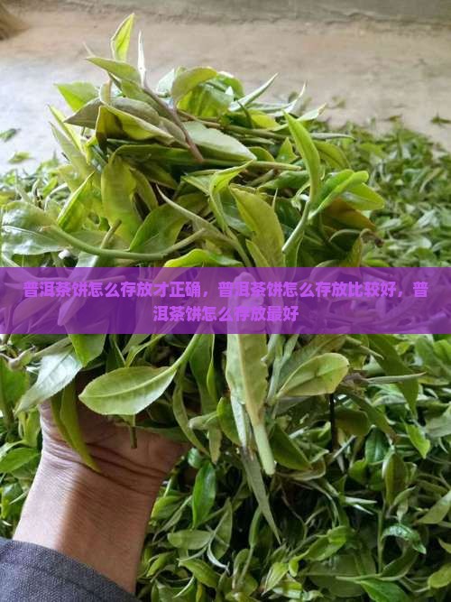 普洱茶饼怎么存放才正确