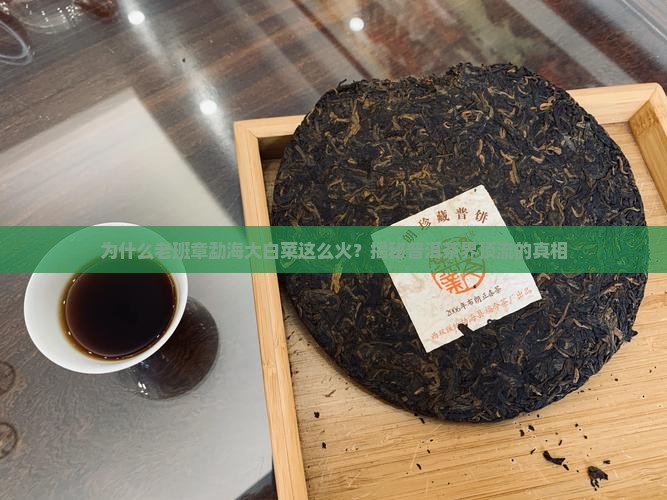 老班章勐海大白菜