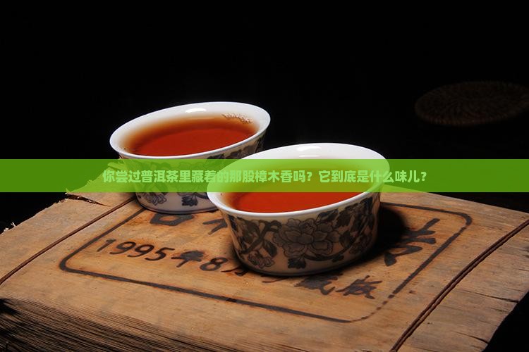 普洱茶里的樟木香什么味道