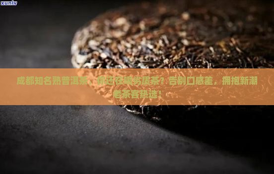 成都知名熟普洱茶