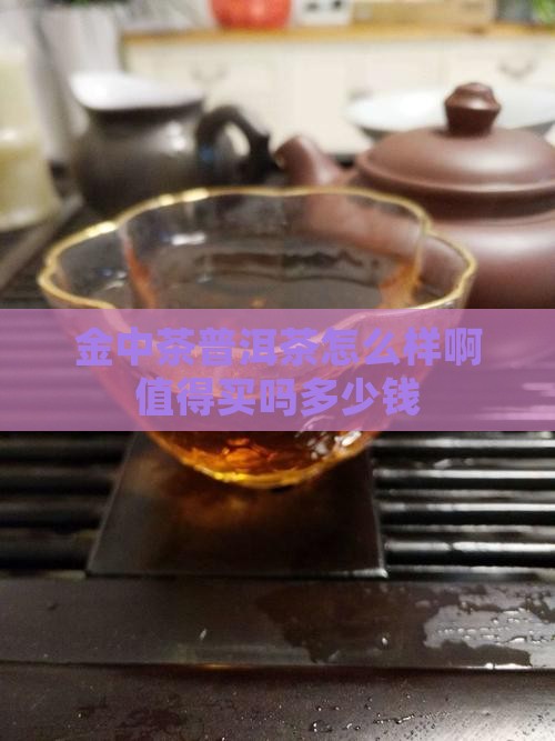 金中茶普洱茶怎么样啊值得买吗