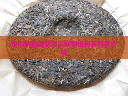金中茶普洱茶怎么样啊值得买吗