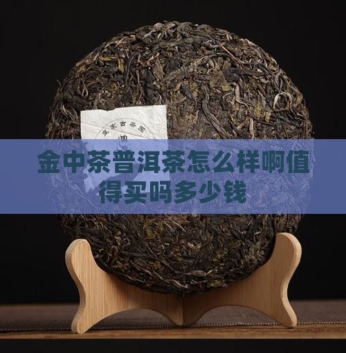 金中茶普洱茶怎么样啊值得买吗