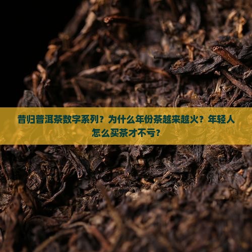 昔归普洱茶数字系列