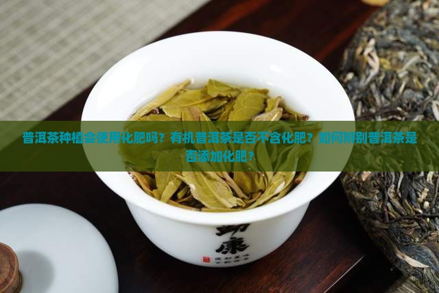 普洱茶有化肥吗