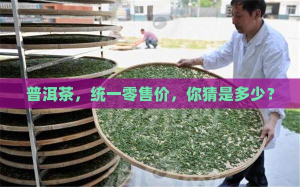 普洱茶统一零售价