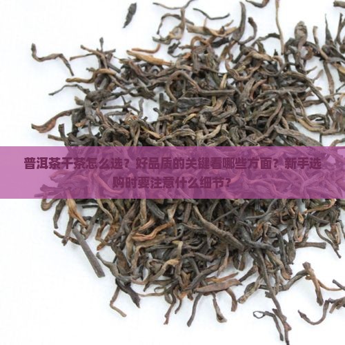 普洱茶干茶怎么选择好
