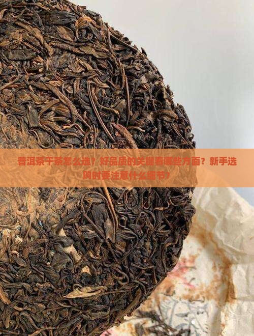 普洱茶干茶怎么选择好