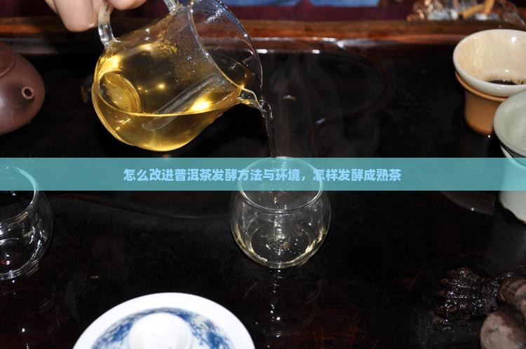 怎么改进普洱茶发酵 怎么改进普洱茶发酵