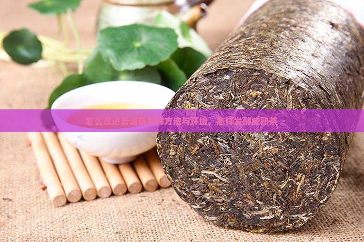 怎么改进普洱茶发酵 怎么改进普洱茶发酵