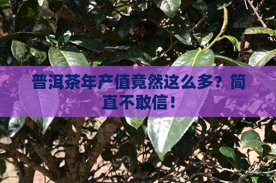 普洱茶年产值多少亿吨现在 普洱茶年产值多少亿吨现在