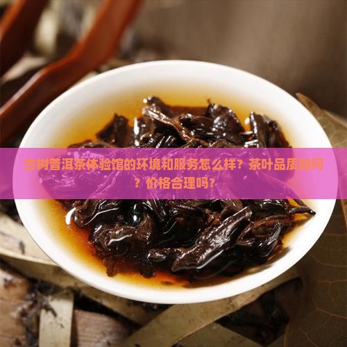古树普洱茶体验馆怎么样
