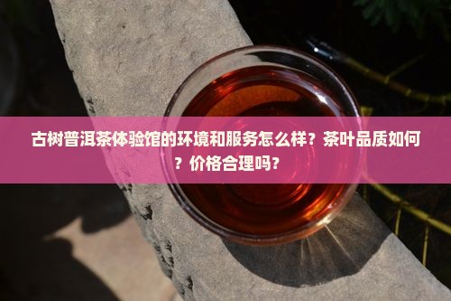 古树普洱茶体验馆怎么样