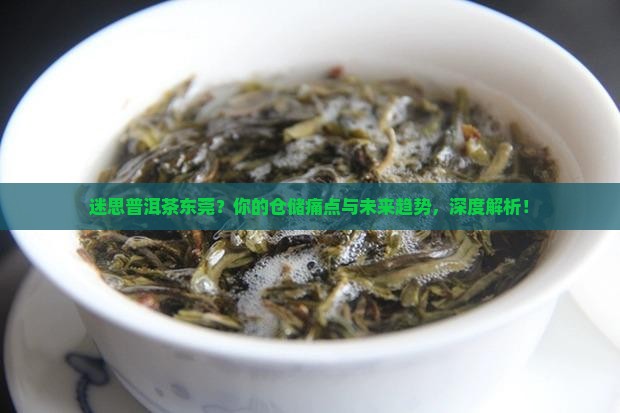 迷思普洱茶东莞