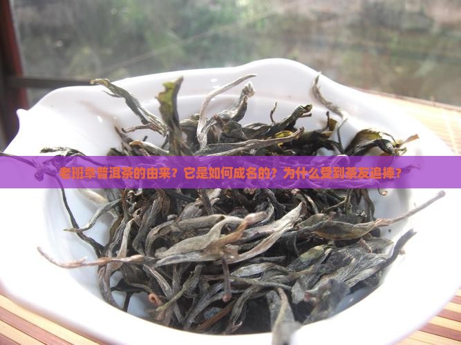 老班章普洱茶的由来