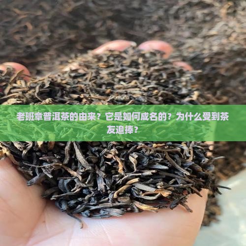 老班章普洱茶的由来