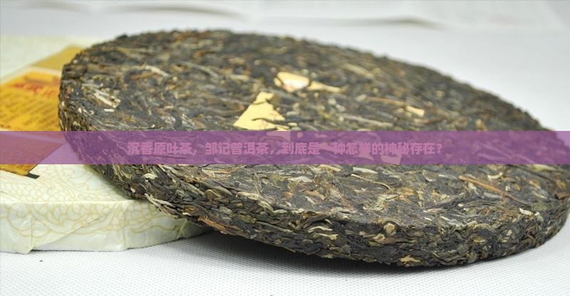 沉香原叶茶是什么茶邹记普洱茶