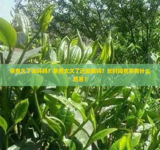 茶煮太久了能喝吗