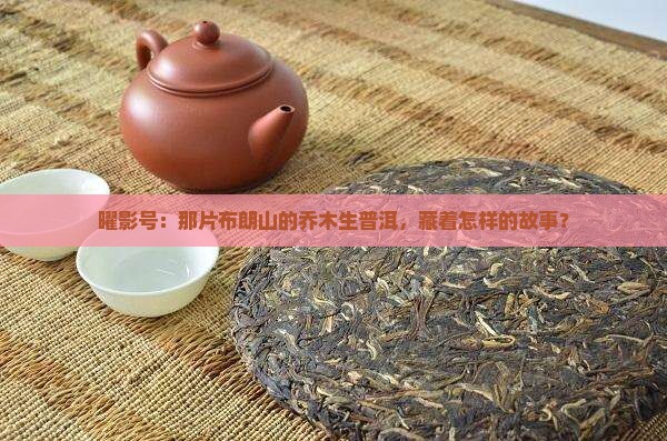 曜影号布朗乔木生普洱茶