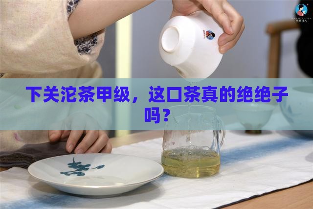 下关沱茶甲级沱茶开汤