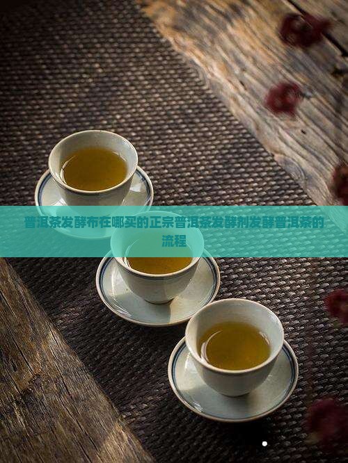 普洱茶发酵布在哪买的