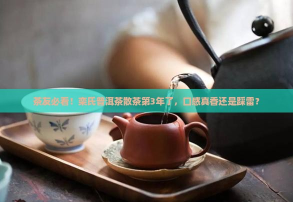栾氏普洱茶散茶