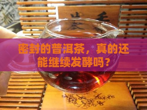 密封的普洱茶怎么发酵