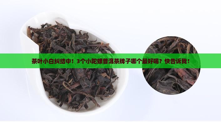 小陀螺普洱茶哪个牌子好