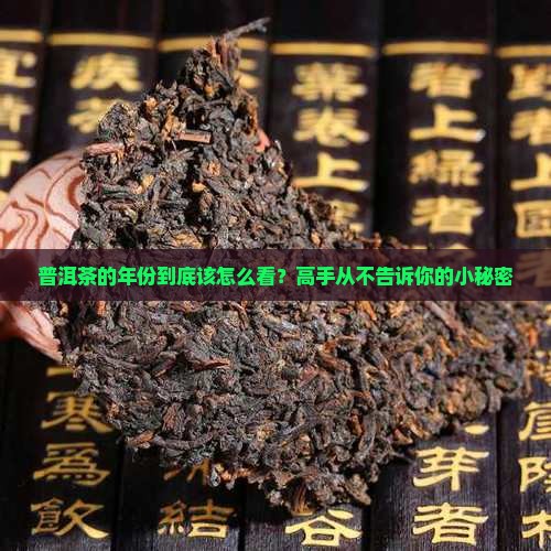 怎么分辨普洱茶的年份