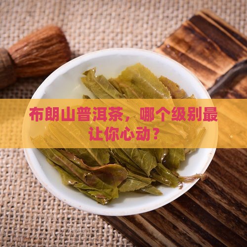 布朗山普洱茶级别
