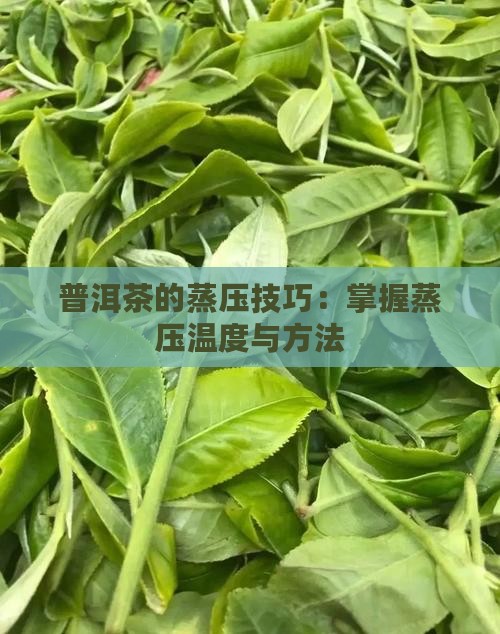 普洱茶的蒸压技巧