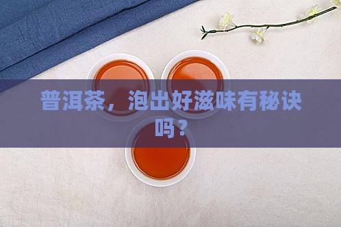 普洱茶如何泡普洱茶如何泡 普洱茶如何泡普洱茶如何泡
