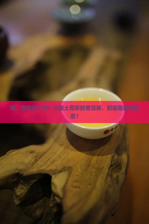 云南土司普洱茶