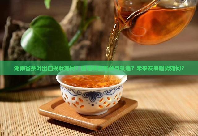 湖南省茶叶出口
