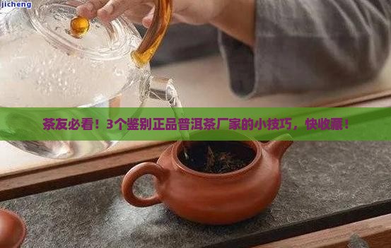 正品普洱茶生产厂家