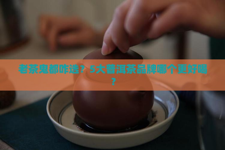 5大普洱茶品牌好