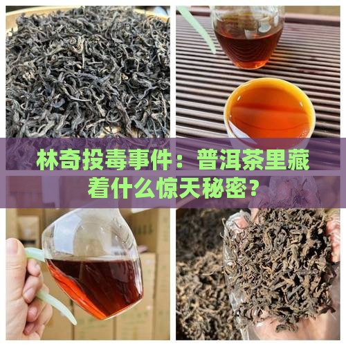 普洱茶投毒林奇