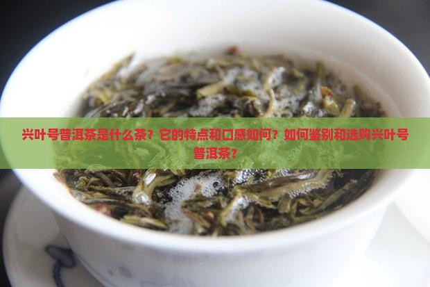 兴叶号普洱茶介绍