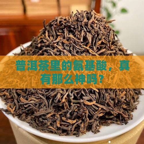 普洱茶氨基酸功效与作用