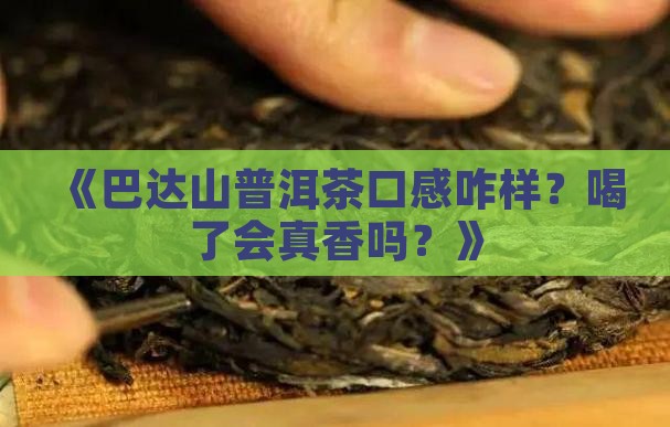 巴达山普洱茶怎么样
