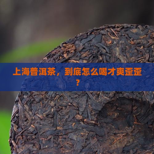 上海普洱茶怎么喝好喝的