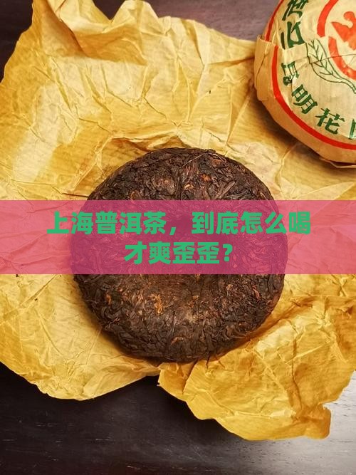 上海普洱茶怎么喝好喝的
