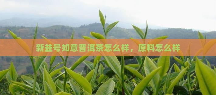 新益号如意普洱茶怎么样