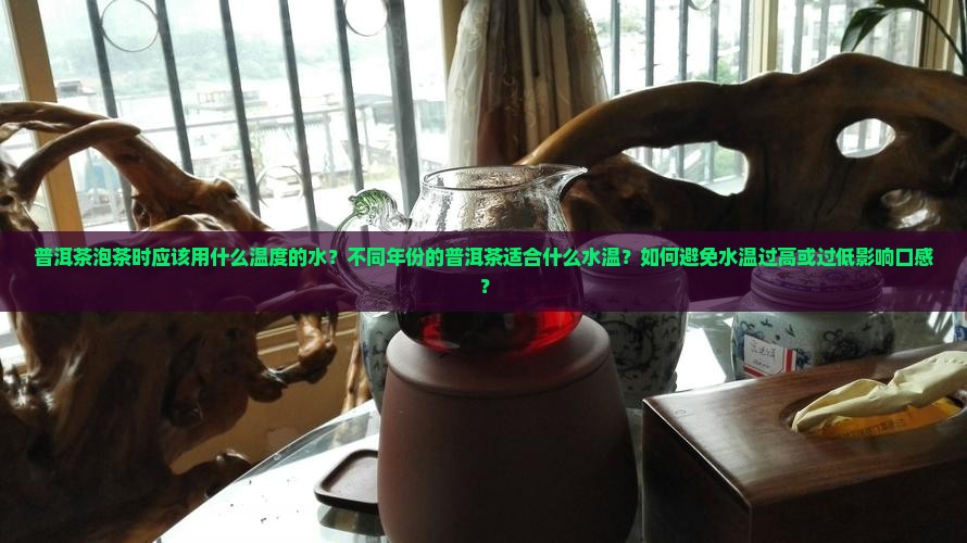 普洱茶怎么泡温度