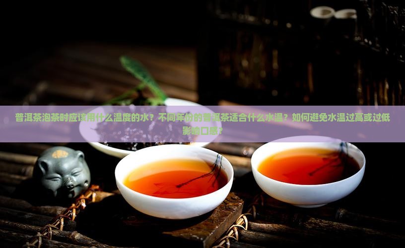 普洱茶怎么泡温度