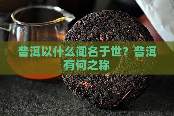 普洱以什么闻名于世