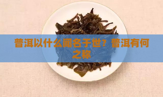 普洱以什么闻名于世