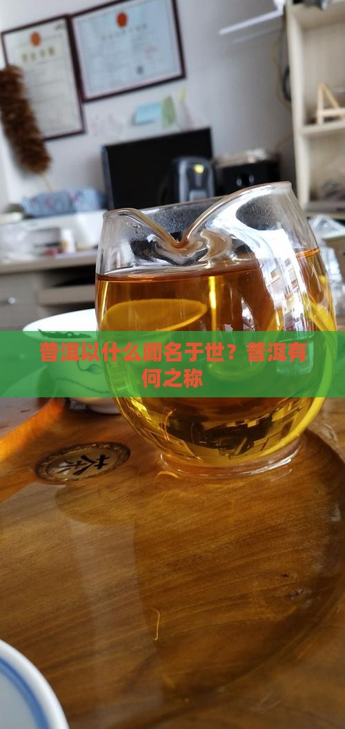 普洱以什么闻名于世